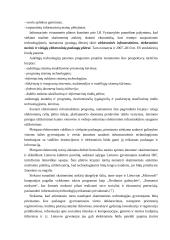 Informacinių sistemų plėtra 9 puslapis