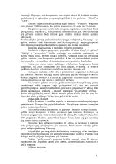 Informacinių technologijų plėtra Ežerėlio seniūnijoje 11 puslapis
