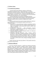 Informacinių technologijų plėtra Ežerėlio seniūnijoje 15 puslapis