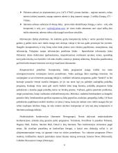 Globaliniai kompiuterių tinklai ir internetas 6 puslapis