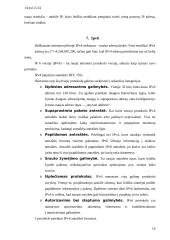 Internetinių protokolų vystymasis 15 puslapis