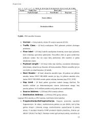 Internetinių protokolų vystymasis 16 puslapis