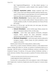 Internetinių protokolų vystymasis 17 puslapis