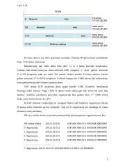 Internetinių protokolų vystymasis 4 puslapis