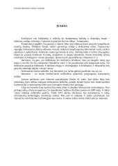Interneto atsiradimo istorija, vystymas 3 puslapis