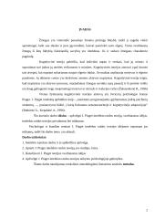 J. Piaget intelekto raidos teorija 2 puslapis