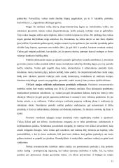 J. Piaget intelekto raidos teorija 11 puslapis