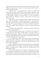 J. Piaget intelekto raidos teorija 13 puslapis