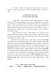 J. Piaget intelekto raidos teorija 5 puslapis