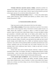 J. Piaget intelekto raidos teorija 7 puslapis