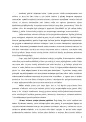J. Piaget intelekto raidos teorija 8 puslapis