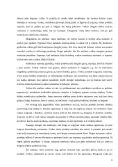 J. Piaget intelekto raidos teorija 9 puslapis