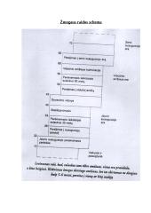 Jauno suaugusiojo psichologija 3 puslapis