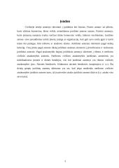 Juridiniai asmenys civilinėje teisėje 2 puslapis