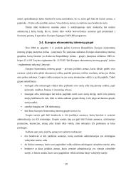 Juridiniai asmenys civilinėje teisėje 19 puslapis