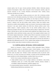 Juridiniai asmenys civilinėje teisėje 5 puslapis