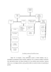Juridiniai asmenys civilinėje teisėje 6 puslapis