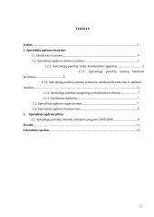 Juridinis specialiojo ugdymo reglamentavimas 2 puslapis