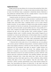 Kartų problema raidos psichologijoje 11 puslapis