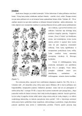 Kartų problema raidos psichologijoje 3 puslapis