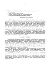 Klasės auklėtojo ir auklėtinių sąveikos ypatumai 3 puslapis
