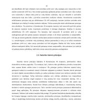 Komercinės teisės samprata, principai, objektas 10 puslapis