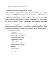 Komercinių kontraktų turinys 2 puslapis