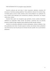 Komercinių kontraktų turinys 11 puslapis