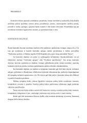 Komercinių kontraktų turinys 3 puslapis