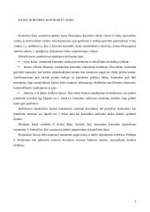 Komercinių kontraktų turinys 5 puslapis
