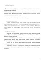 Komercinių kontraktų turinys 7 puslapis