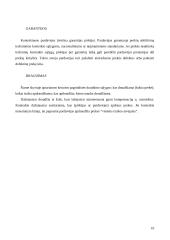 Komercinių kontraktų turinys 10 puslapis