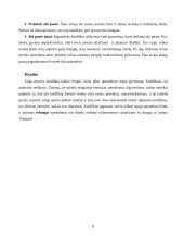 Konfliktų psichologija 8 puslapis