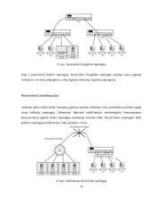 LAN tinklų architektūrų lyginamoji analizė 16 puslapis