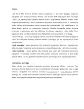 LAN tinklų architektūrų lyginamoji analizė 3 puslapis