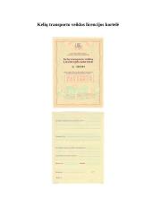 Licencijų rūšys, naudojimosi jomis sąlygos 4 puslapis