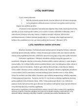 Lyčių ir asmenybės skirtumai  3 puslapis