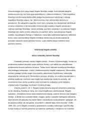 Meno sampratos transformacija: ankstyvoji versus brandžioji Hėgelio (Hegell) estetika 5 puslapis
