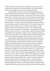 Meno sampratos transformacija: ankstyvoji versus brandžioji Hėgelio (Hegell) estetika 6 puslapis