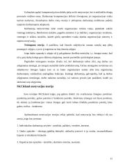 Motyvacija ir motyvai 12 puslapis