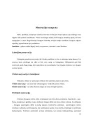 Motyvacija ir motyvai 13 puslapis
