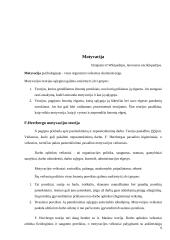 Motyvacija ir motyvai 9 puslapis