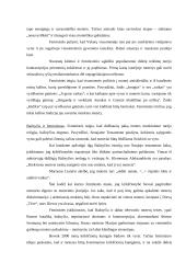 Nelygiateisiškumas 13 puslapis