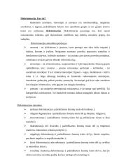 Nelygiateisiškumas 4 puslapis