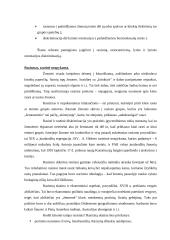 Nelygiateisiškumas 5 puslapis