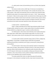 Nuomos sutarties teisinė analizė 5 puslapis