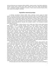 Nuomos sutarties pasirašymas 7 puslapis