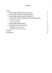 Bendrosios nuosavybės teisės rūšys  2 puslapis