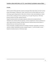 Nuotolinio valdymo būdai 13 puslapis