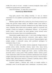 Paauglys ir paauglystė 4 puslapis
